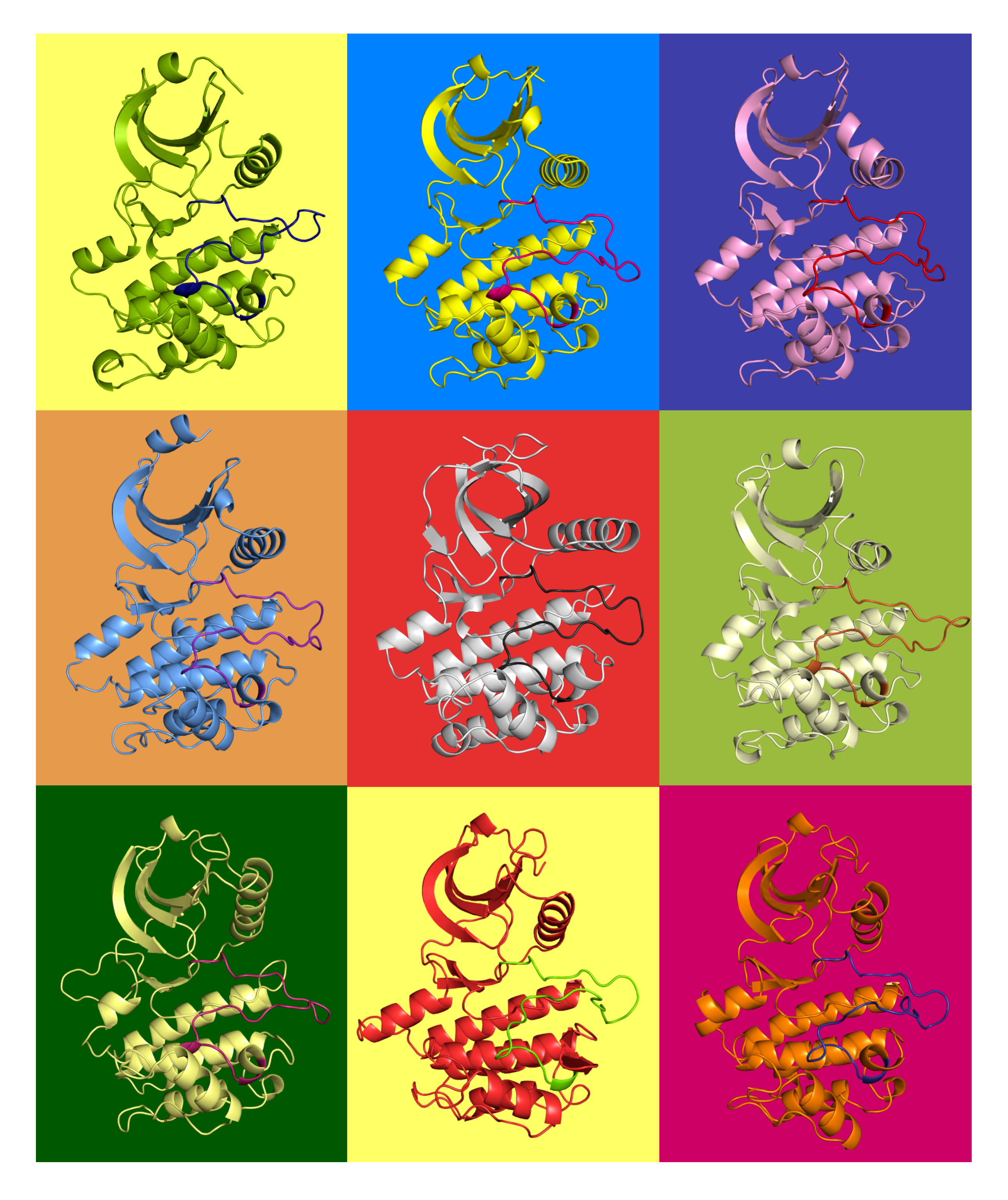 Warhol Kinases