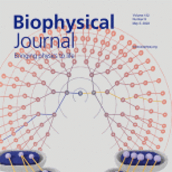 Issue: Biophysical Journal