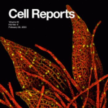 Image of Cell Reports journal cover.