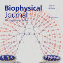 Image of the Biophysical Journal cover.